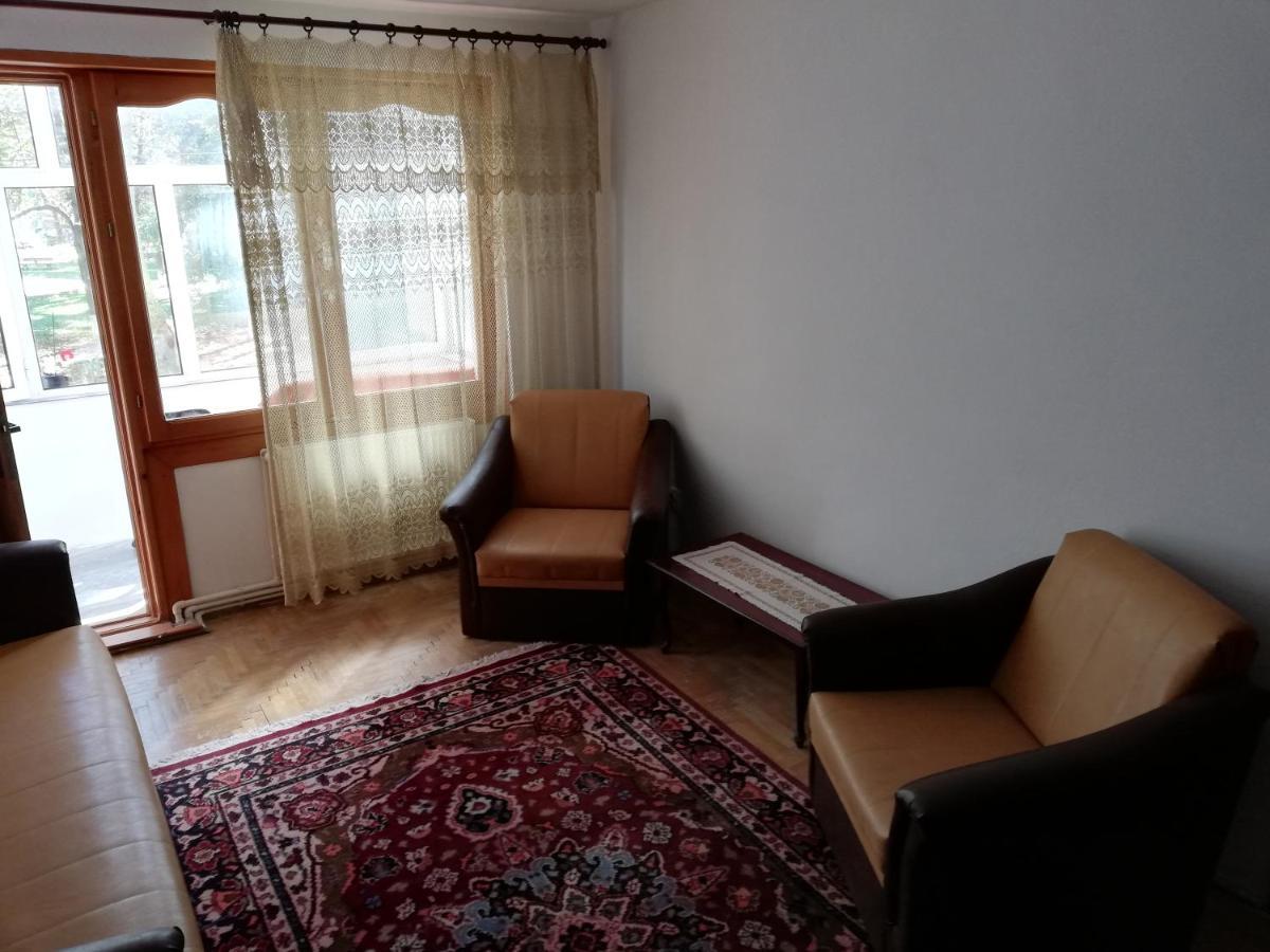 Valeria Apartament Διαμέρισμα Onesti Εξωτερικό φωτογραφία