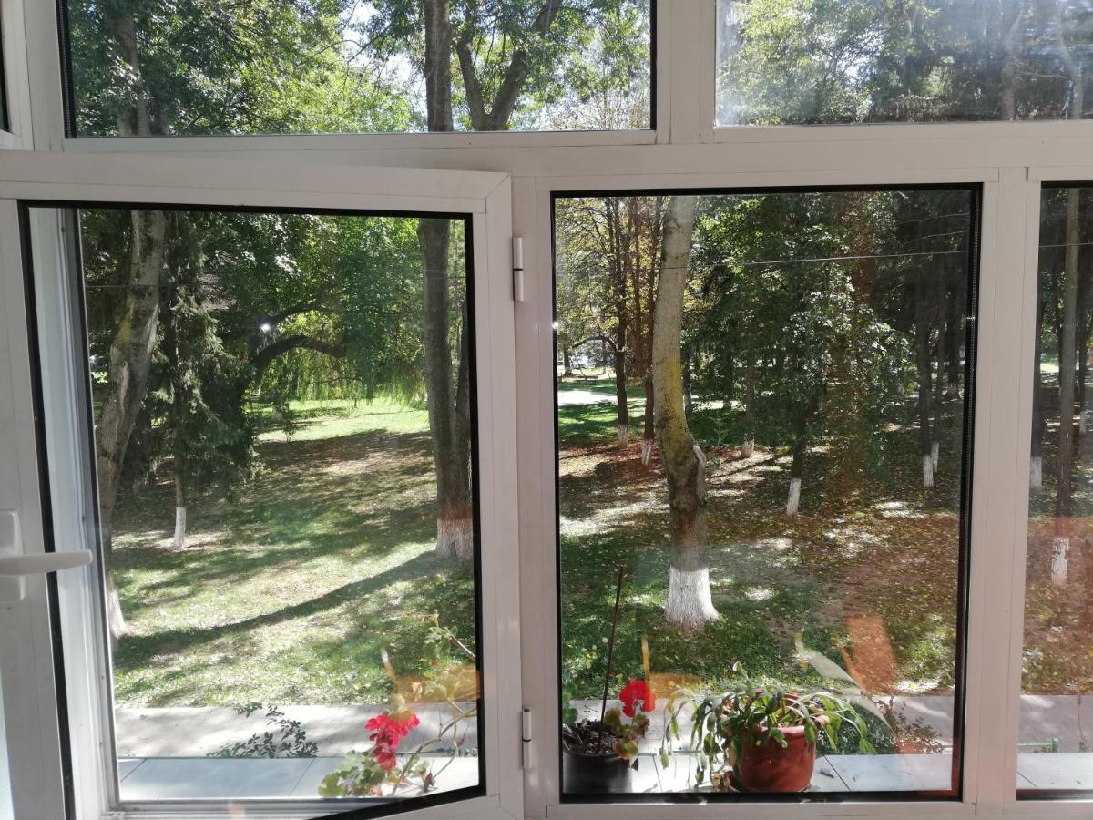 Valeria Apartament Διαμέρισμα Onesti Εξωτερικό φωτογραφία