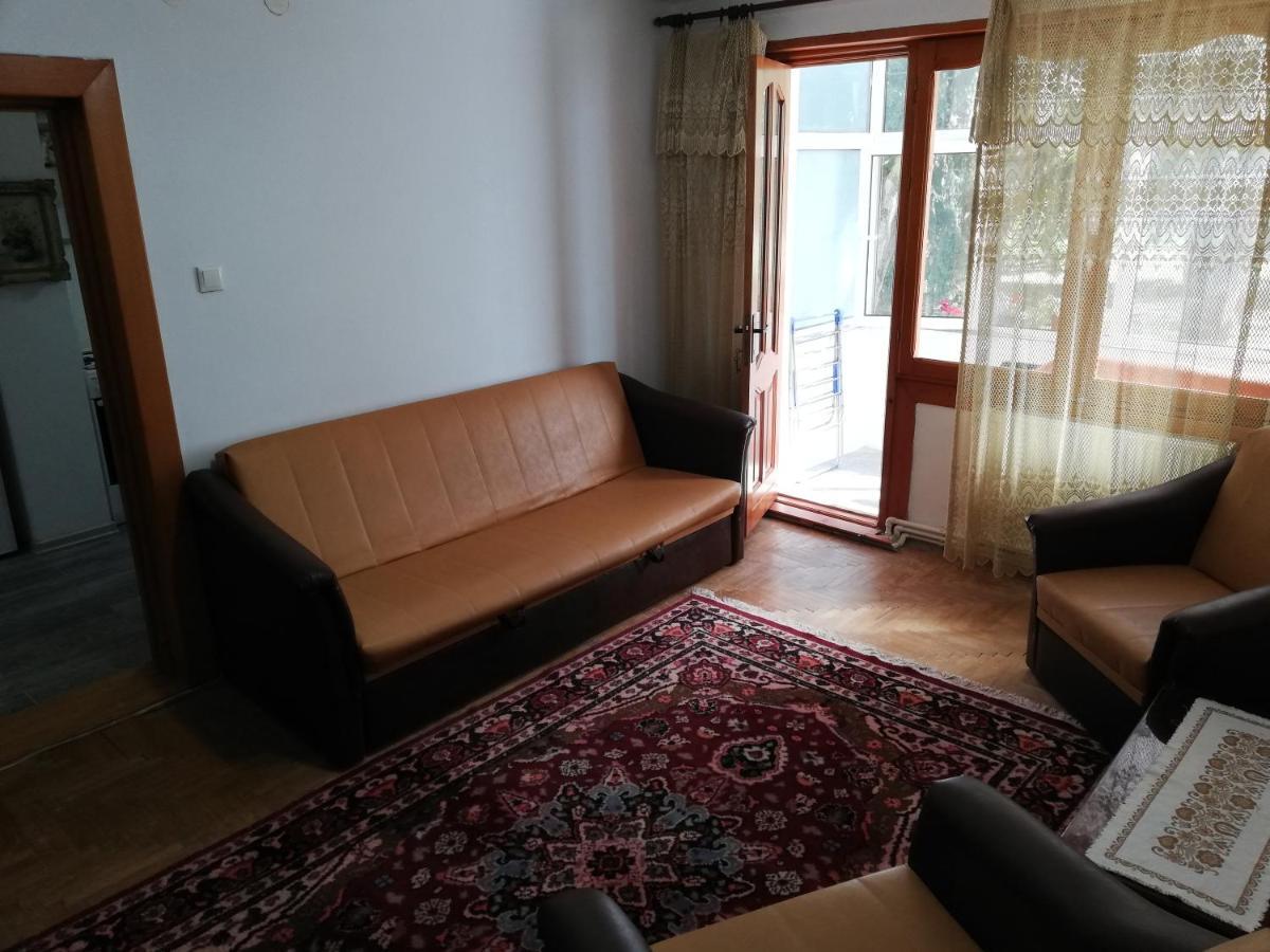Valeria Apartament Διαμέρισμα Onesti Εξωτερικό φωτογραφία